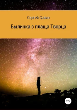 Сергей Савин Былинка с плаща Творца обложка книги