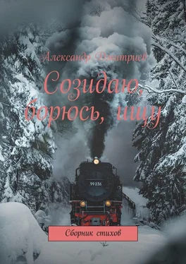 Александр Дмитриев Созидаю, борюсь, ищу. Сборник стихов обложка книги