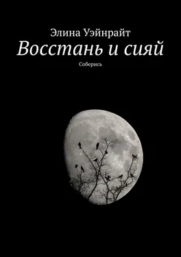 Элина Уэйнрайт Восстань и сияй. Соберись обложка книги