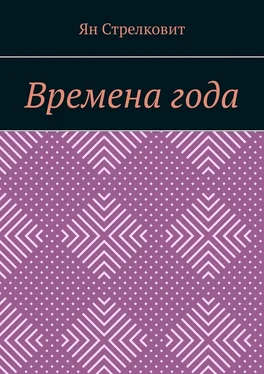 Ян Стрелковит Времена года обложка книги