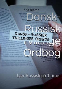 Irina Bjørnø Dansk-Russisk Tvillinger Ordbog обложка книги