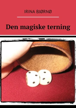 Irina Bjørnø Den magiske terning обложка книги