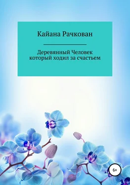 Кайана Рачкован Деревянный Человек, который ходил за счастьем обложка книги