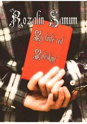 Rozalin Samum - My Little red Moleskine