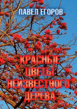 Павел Егоров Красные цветы неизвестного дерева обложка книги