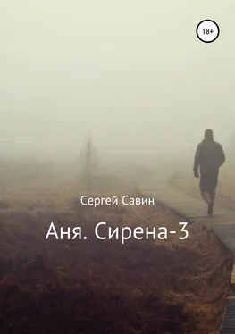 Сергей Савин Аня. Сирена-3 обложка книги