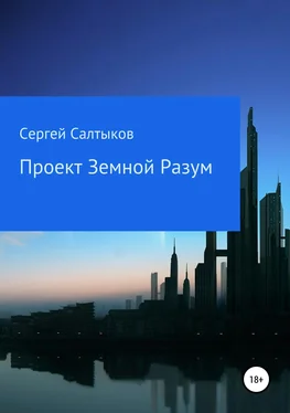 Сергей Салтыков Проект Земной разум обложка книги