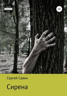 Сергей Савин Сирена обложка книги