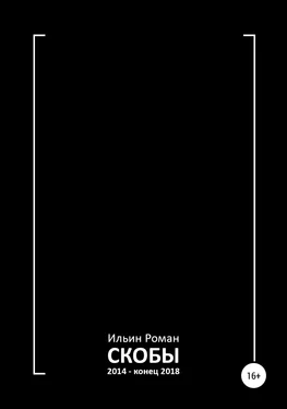 Роман Ильин Скобы 2014 – конец 2018 обложка книги