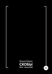 Роман Ильин - Скобы 2014 – конец 2018