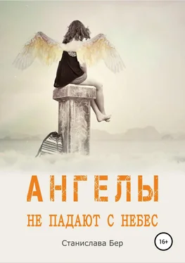 Станислава Бер Ангелы не падают с небес обложка книги