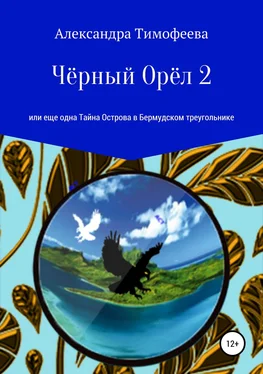 Александра Тимофеева Чёрный Орёл 2, или Еще одна Тайна Острова в Бермудском треугольнике обложка книги