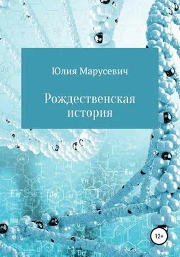 Юлия Марусевич Рождественская история обложка книги