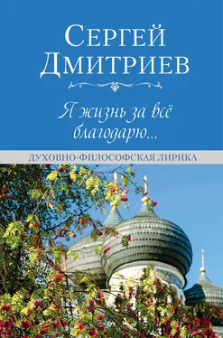 Сергей Дмитриев Я жизнь за всё благодарю… обложка книги