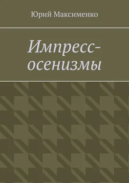 Юрий Максименко Импресс-осенизмы. Эссе обложка книги