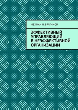 Мехман И_брагимов Эффективный управляющий в неэффективной организации обложка книги