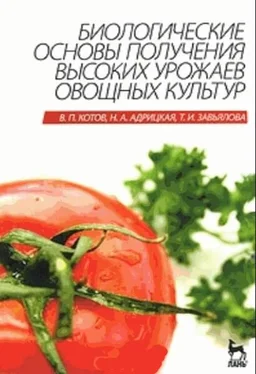 Вячеслав Котов Биологические основы получения высоких урожаев овощных культур обложка книги