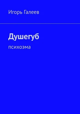 Игорь Галеев Душегуб. Психоэма обложка книги