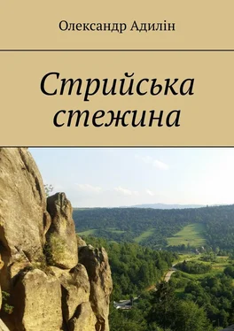 Олександр Адилін Стрийська стежина обложка книги