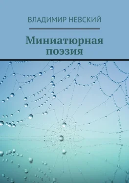 Владимир Невский Миниатюрная поэзия обложка книги