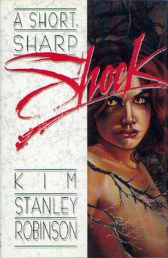 Kim Robinson A Short, Sharp Shock обложка книги