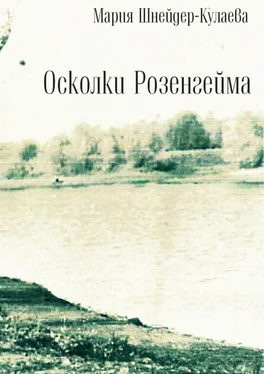 Мария Шнейдер-Кулаева Осколки Розенгейма. Интервью, воспоминания, письма обложка книги