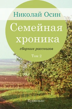 Николай Осин Семейная хроника. Том 2 обложка книги