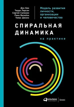 Array Коллектив авторов Спиральная динамика на практике. Модель развития личности, организации и человечества обложка книги