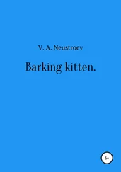 Владислав Неустроев - Barking kitten