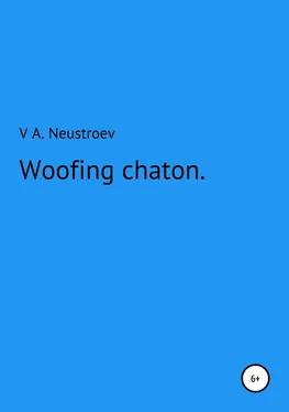 Владислав Неустроев Woofing chaton обложка книги