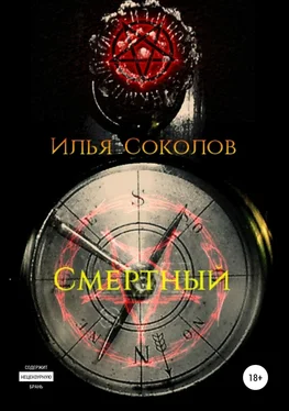 Илья Соколов Смертный обложка книги