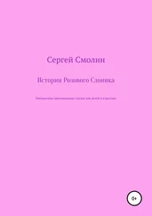 Сергей Смолин - Истории Розового Слоника