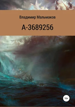 Владимир Мальмаков А-3689256 обложка книги