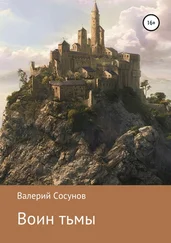 Валерий Сосунов - Воин тьмы