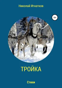 Николай Игнатков Тройка. Книга стихотворений обложка книги