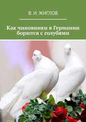 В. Жиглов - Как чиновники в Германии борются с голубями