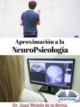 Juan Moisés De La Serna Aproximación A La Neuropsicología обложка книги