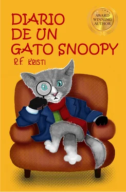 R.F. Kristi Diario De Un Gato Snoopy обложка книги