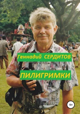 Геннадий Сердитов Пилигримки обложка книги