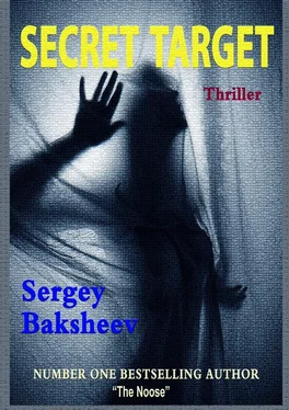 Sergey Baksheev Secret Target обложка книги
