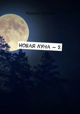 Максим Китаев Новая луна – 2 обложка книги