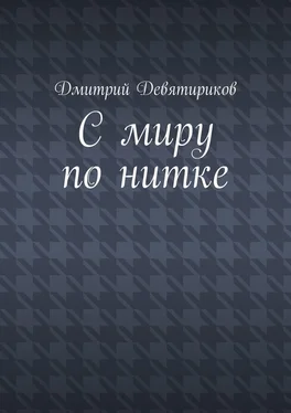 Дмитрий Девятириков С миру по нитке обложка книги