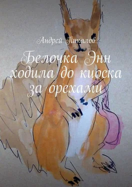 Андрей Пикалов Белочка Энн ходила до киоска за орехами обложка книги