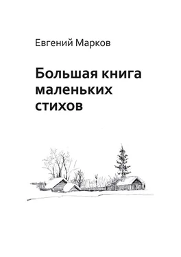 Евгений Марков Большая книга маленьких стихов обложка книги