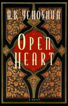 A. Yehoshua Open Heart обложка книги