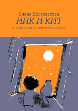 Елена Долговесова Ник и Кит. Непридуманные истории, которых не было обложка книги