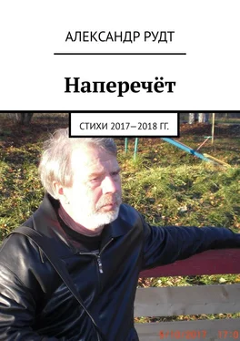 Александр Рудт Наперечёт. Стихи 2017—2018 гг. обложка книги