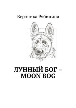 Вероника Рябинина Лунный Бог – moon bog обложка книги