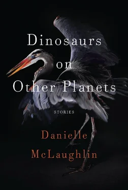 Danielle McLaughlin Dinosaurs on Other Planets обложка книги