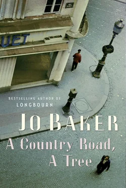 Jo Baker A Country Road, a Tree